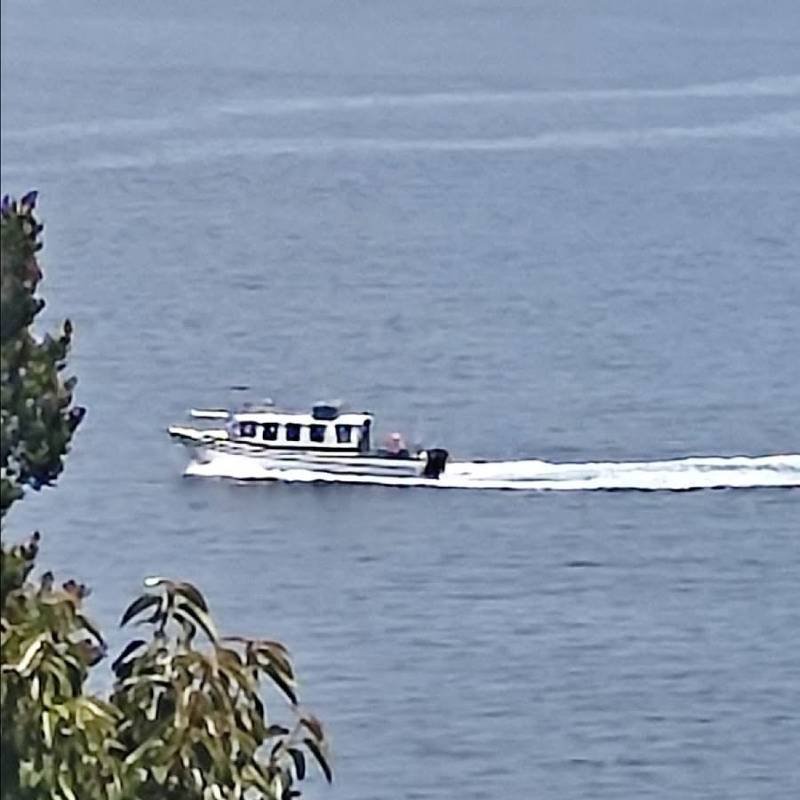 Transportes Mar y Tierra Loyola - Tour al Islote Nihuel en Chaitén 7